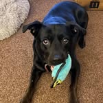 Tracy Birch - @tracy.birch.31 - Instagram