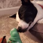 Tracy Birch - @tracyb2205 - Instagram