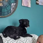 Tracy Birch - @birchtracy1969 - Instagram