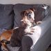 Tracy Blankenbaker - Facebook