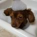 Tracy Blankenbaker - Facebook
