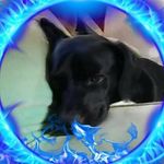 Tracy Blanton - @tracy.blanton.52459 - Instagram