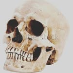 tracy blasst - @tracyblasst - Instagram