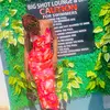 tracy bliss - @tracy.bless - TikTok