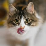Tracey Boden - @tracey.boden.3 - Instagram
