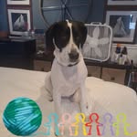 Tracy Boden - @paigetracy39 - Instagram