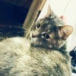 Tracy Bond - @tracybond1234 - Instagram