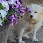 Tracy Bond - @tbondquesnel - Instagram