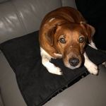 Tracy Bond - @tracy.bond.5817 - Instagram