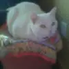 Tracy Boone - @tracy.boone - TikTok