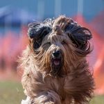Tracy Britton Boring - @tlboring - Instagram
