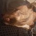 Tracey Bostick - Facebook