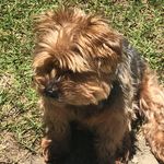 Tracy Sligh Bostic - @tkbostic68 - Instagram
