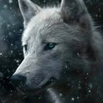Tracy Bould - @wolfchild596 - Instagram