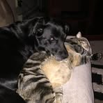 Tracy Bowers - Facebook