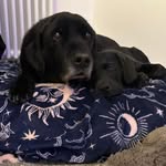 Tracy Boyle - @tracyboyle2019 - Instagram