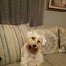 Tracy Boyles - Facebook