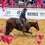 Tracy Brand - @tracy.wideawakefeeds - Instagram