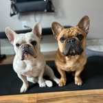 Tracy - @tracy_brassard - Instagram