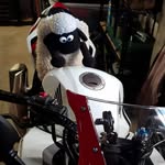 Tracy Braun - @ktmadventurer1 - Instagram