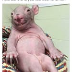 Tracy Breytenbach - @breytenbachtracy - Instagram