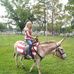 Tracy Bricker - Facebook