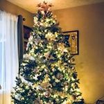 Tracy Bricker Warden - @wardentracy - Instagram