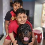 Tracy Briggs - @out.numbered.mom - Instagram