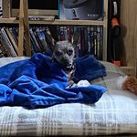 Tracy Briggs Hawkins - @1.tracy.briggs - Instagram