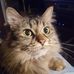 Tracy Brigham - Facebook