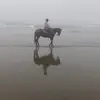 tracybrill695 - @tracybrill695 - TikTok
