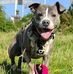 Tracie Brindle - Facebook
