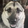 tracybrink_ - @tracybrink_ - TikTok