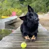 tracybritt724 - @tracybritt724 - TikTok