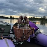 Tracy Brittain Loyek - @sewfunkatz - Instagram
