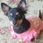 Tracey Broadhead - Facebook