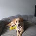 Tracy Brook - Facebook