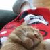 Tracy Brumbaugh - Facebook