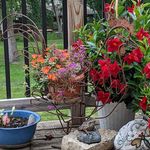 Tracy Brummer Henschke - @tracyhenschke - Instagram