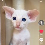 Tracy Brune - @tbrune_2000 - Instagram