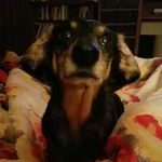 Tracy F Brune - @myqueen7554 - Instagram