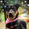 Tracey Bryce660 - @traceybryce - TikTok