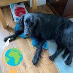 Tracy Bryson - @tracybryson5 - Instagram