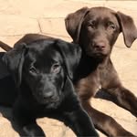 Tracy Bryson Sherriff - @tracybrysonsherriff - Instagram