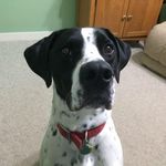 Tracy Buffington - @tbuff31 - Instagram