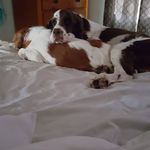 Tracy Buffington - @tracy.buffington.54 - Instagram