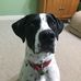 Tracy Buffington - Facebook
