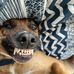 Tracy Buford - Facebook