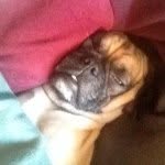 Tracy Bulmer - @tracy821964 - Instagram