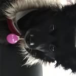 Tracy Bunce - @tracy.bunce - Instagram